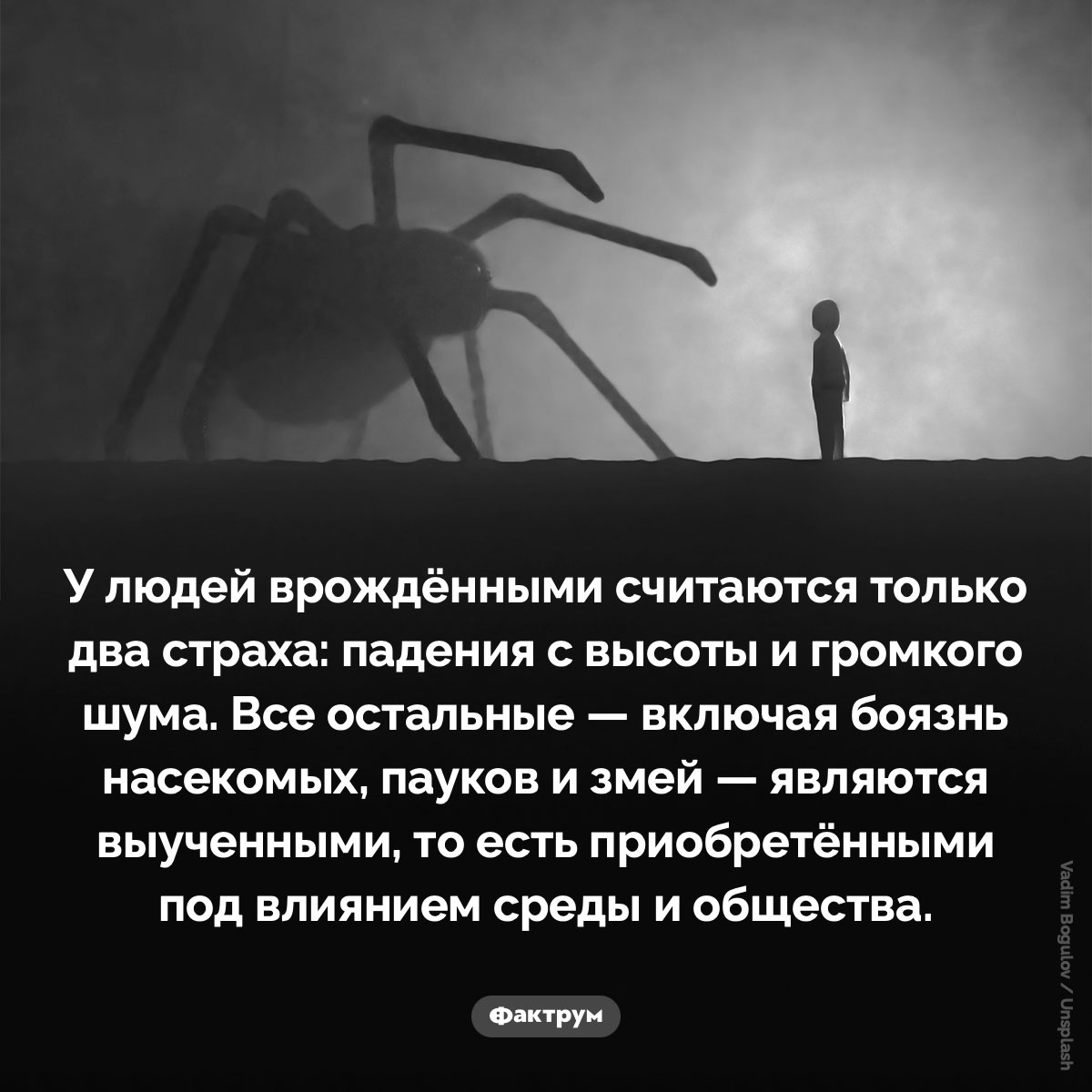 Два страха