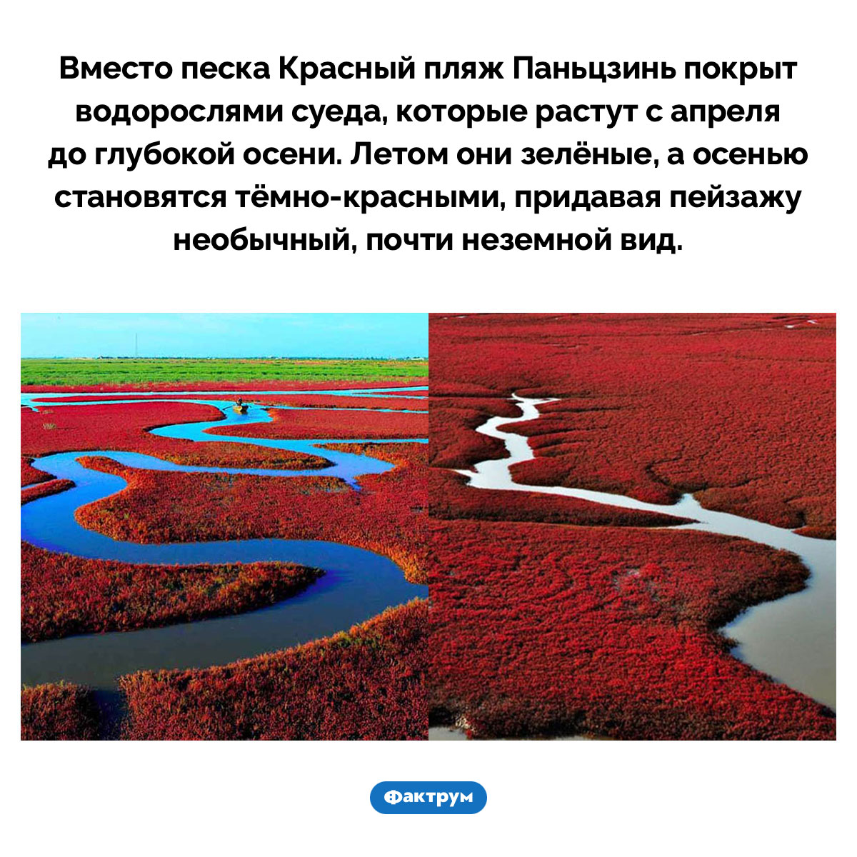 Красный пляж