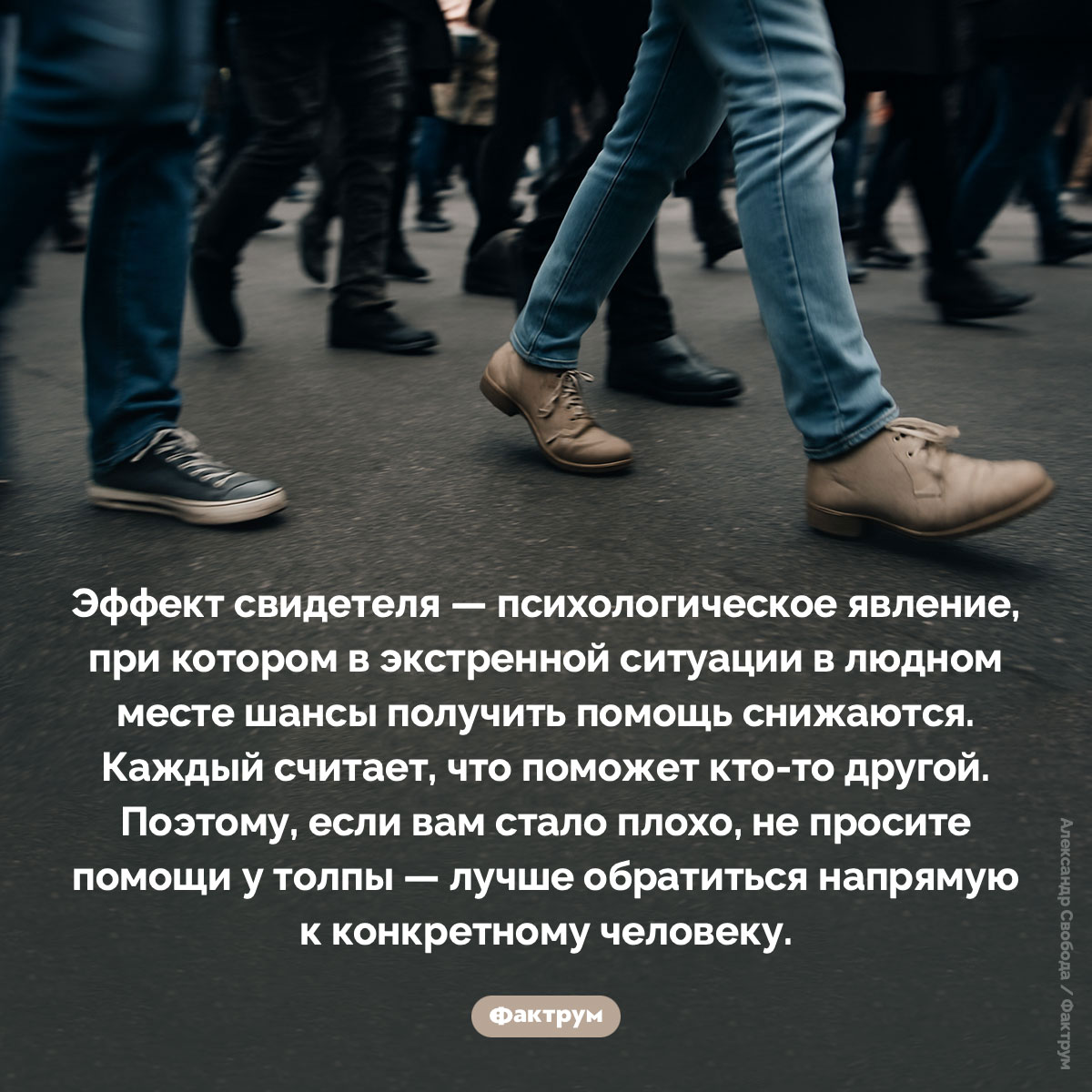 Не просите помощи у толпы