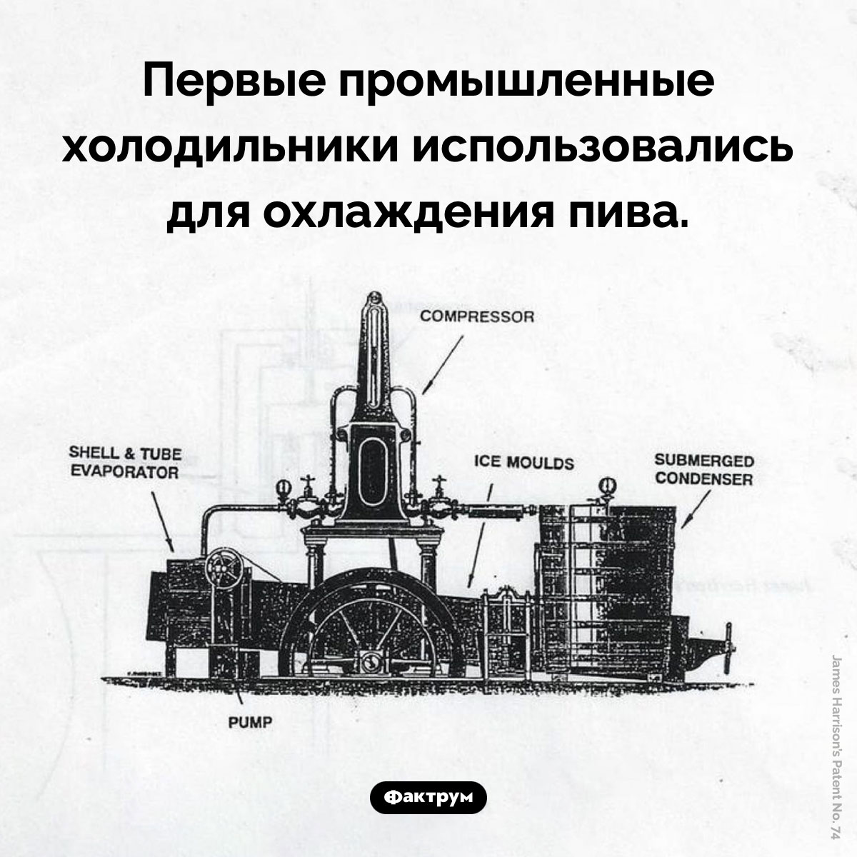 Холодильники просто созданы для пива. Первые промышленные холодильники использовались для охлаждения пива.