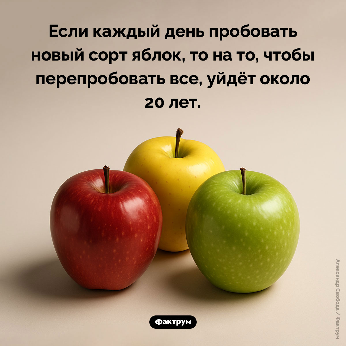 Сорта яблок. Если каждый день пробовать новый сорт яблок, то на то, чтобы перепробовать все, уйдёт около 20 лет.