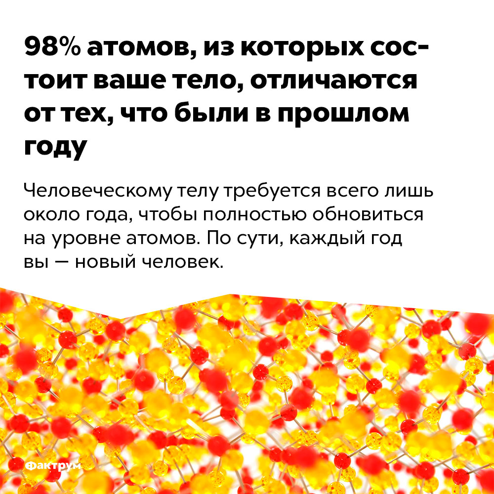 98% атомов, из которых состоит ваше тело, отличаются от тех, что были в прошлом году. Человеческому телу требуется всего лишь около года, чтобы полностью обновиться на уровне атомов. По сути каждый годы вы — новый человек.