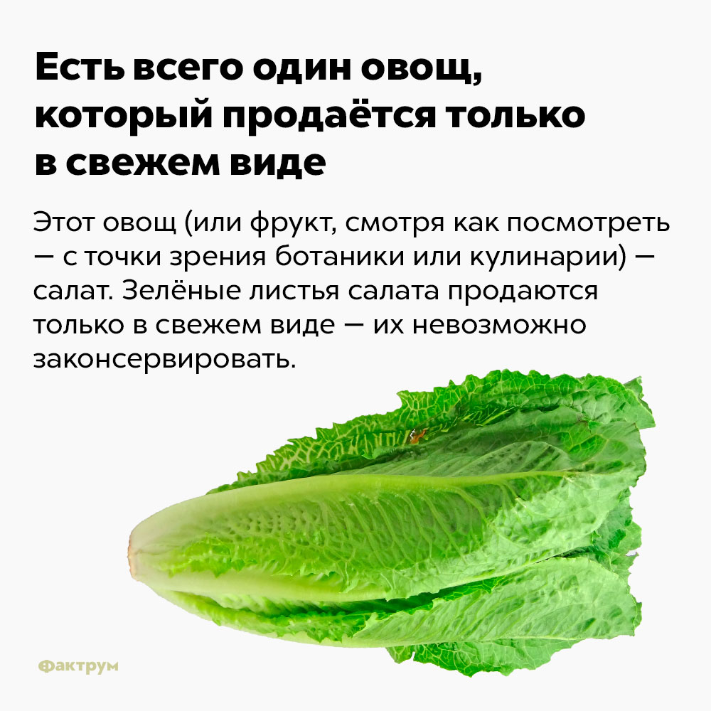 Есть всего один овощ, который продаётся только в свежем виде. Этот овощ (или фрукт, смотря как посмотреть — с точки зрения ботаники или с точки зрения кулинарии) — салат. Зелёные листья салата продаются только в свежем виде — их невозможно законсервировать.