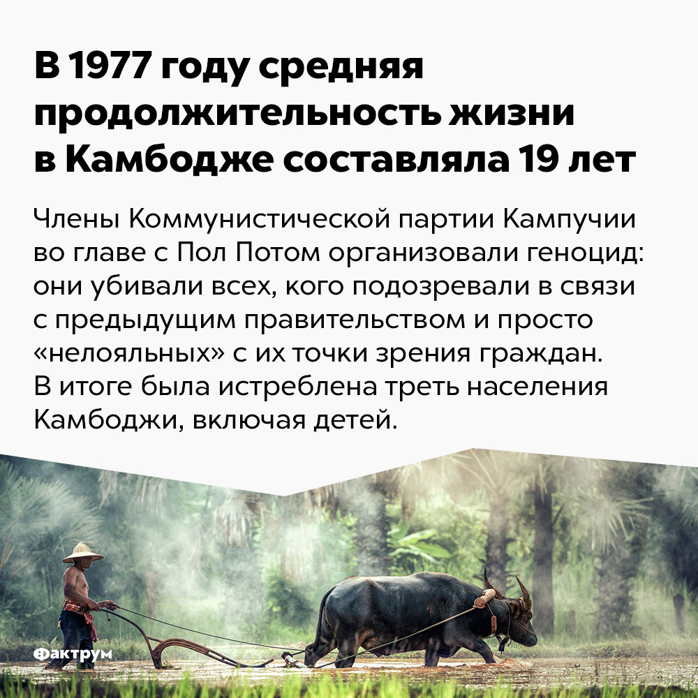 В 1977 году средняя продолжительность жизни в Камбодже составляла 19 лет. Члены Коммунистической партии Кампучии во главе с Пол Потом организовали геноцид: они убивали всех, кого подозревали в связи с предыдущим правительством и просто «нелояльных» с их точки зрения граждан. В итоге была истреблена треть населения Камбоджи, включая детей.