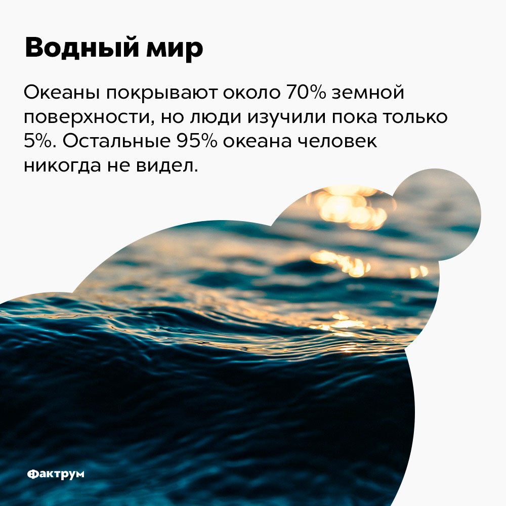 Океаны покрывают около 70% земной поверхности, но люди изучили пока только 5%. Остальные 95% океана человек никогда не видел.