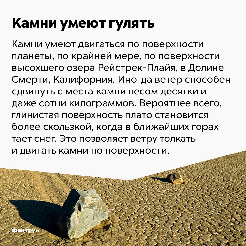 Камни умеют гулять. Камни могут двигаться по поверхности планеты, по крайней мере, по поверхности высохшего озера Рейстрек-Плайя в Долине Смерти, Калифорния. Иногда ветер способен сдвинуть с места камни весом десятки и даже сотни килограммов. Вероятнее всего, глинистая поверхность плато становится более скользкой, когда в ближайших горах идёт снег. Это позволяет ветру толкать и двигать камни по поверхности.