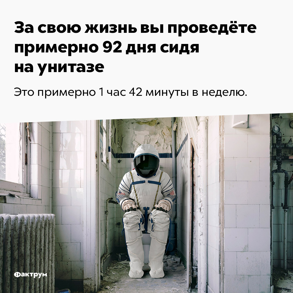 За свою жизнь вы проведёте примерно 92 дня сидя на унитазе. Это примерно 1 час 42 минуты в неделю.