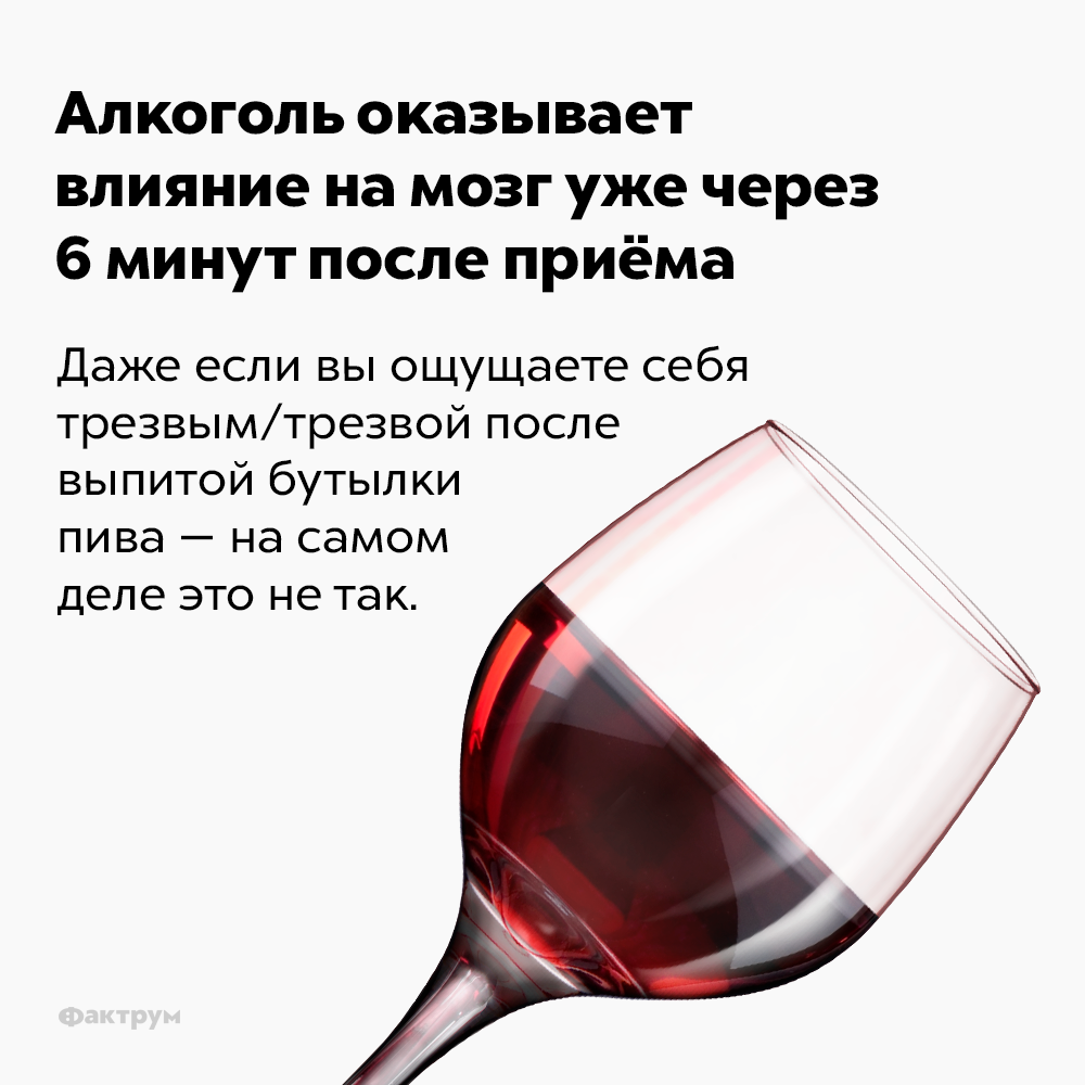 Алкоголь оказывает влияние на мозг уже через 6 минут после приёма. Даже если вы ощущаете себя трезвым/трезвой после выпитой бутылки пива — на самом деле это не так.