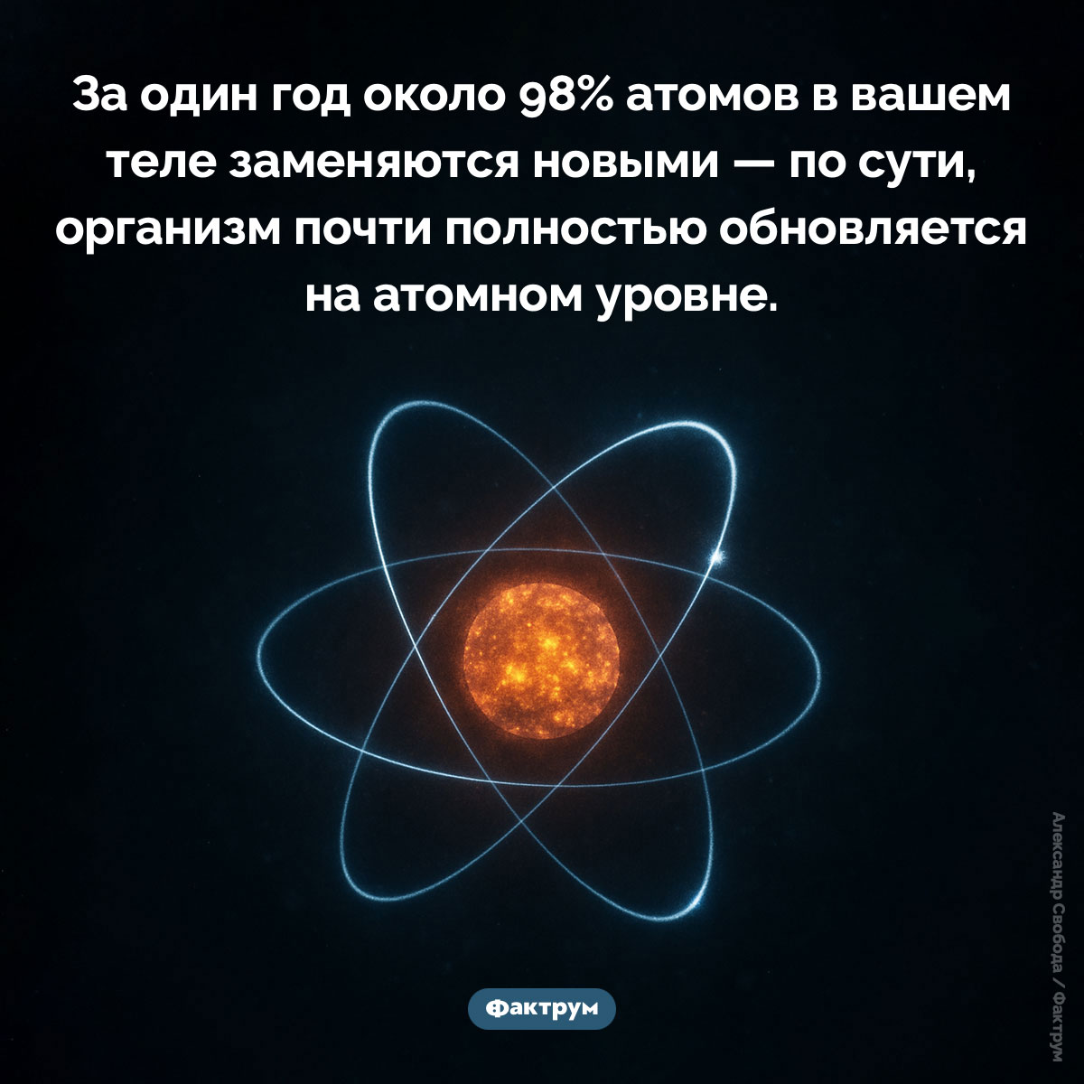 98% атомов, из которых состоит ваше тело, отличаются от тех, что были в прошлом году