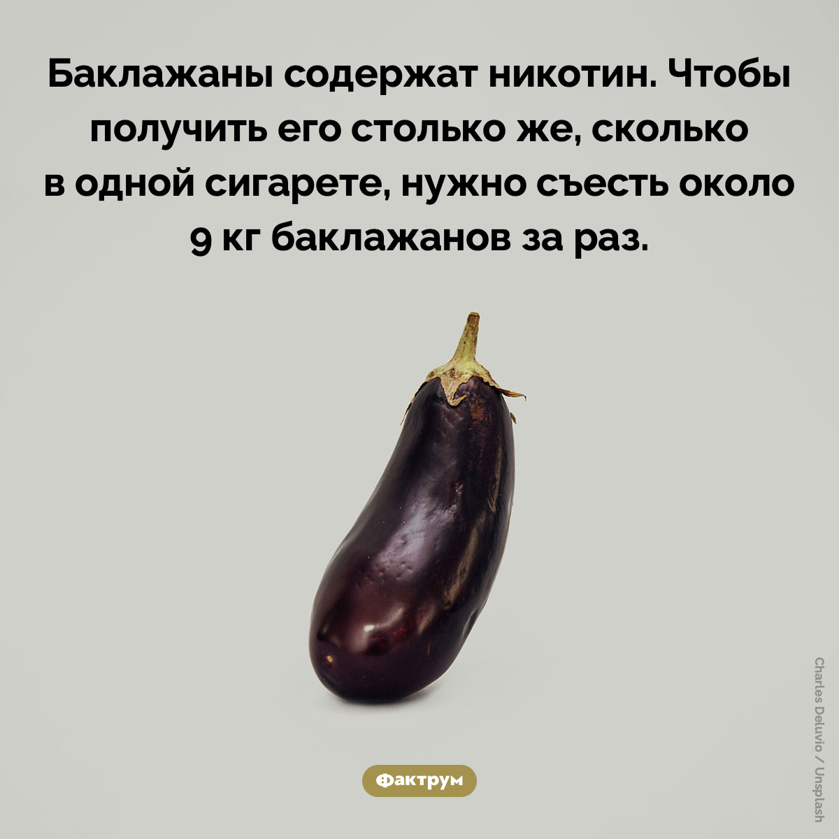 Баклажаны содержат никотин. Баклажаны содержат никотин. Чтобы получить его столько же, сколько в одной сигарете, нужно съесть около 9 кг баклажанов за раз.