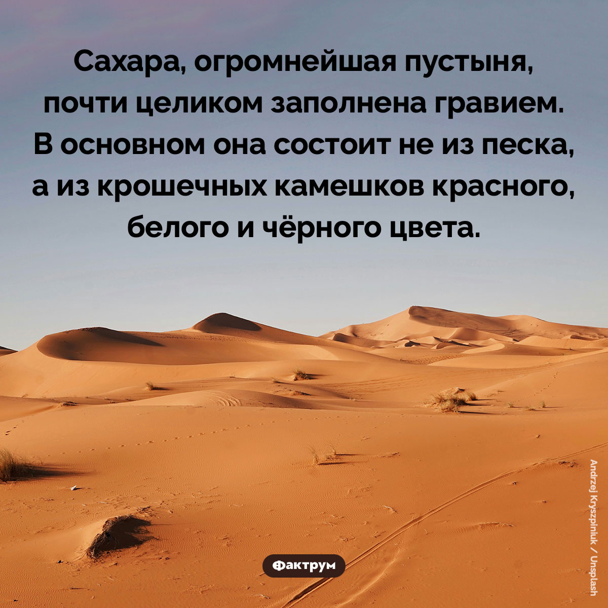 Большая часть Сахары покрыта не песком