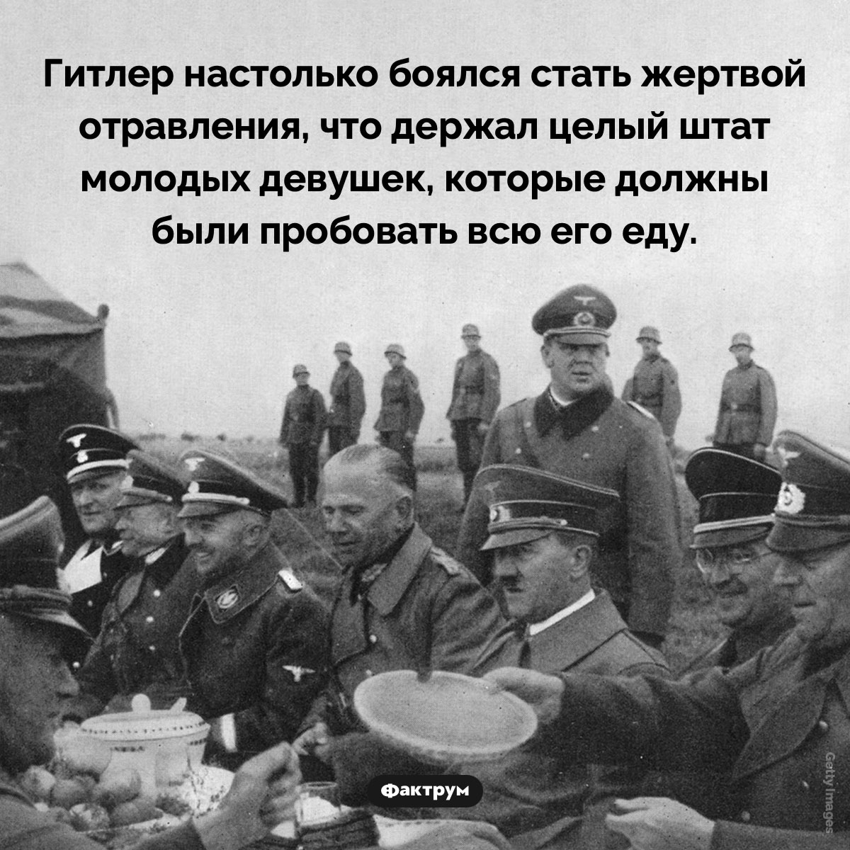 Гитлер держал 15 девушек-дегустаторов. Гитлер настолько боялся стать жертвой отравления, что держал целый штат молодых девушек, которые должны были пробовать всю его еду.