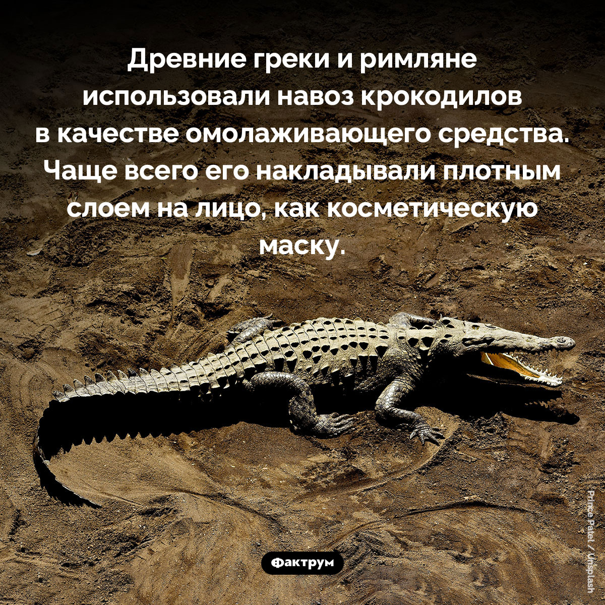 Навоз в качестве омолаживающего средства