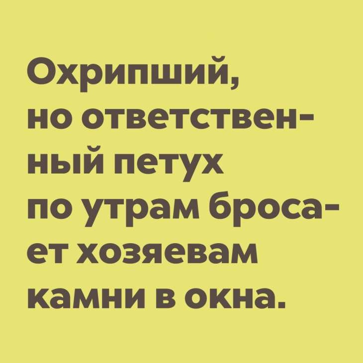 Анекдот далеко. Анекдот про соседку. Анекдот про соседку Машу