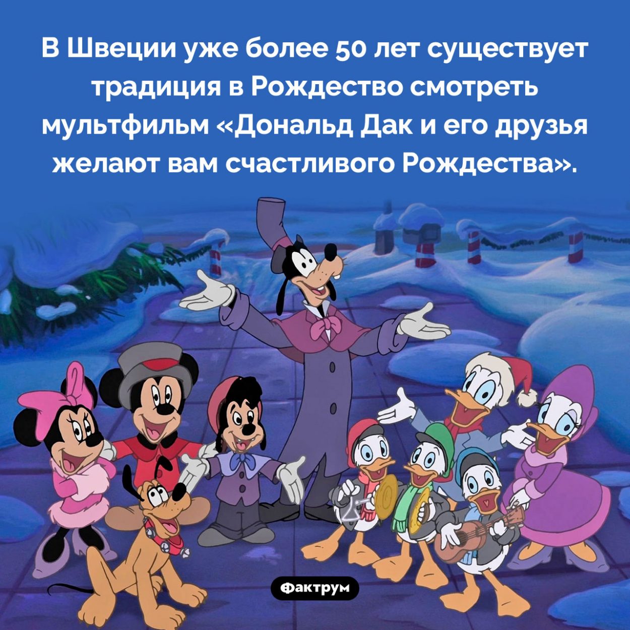 Шведская рождественская традиция. В Швеции уже более 50 лет существует традиция в Рождество смотреть мультфильм «Дональд Дак и его друзья желают вам счастливого Рождества».