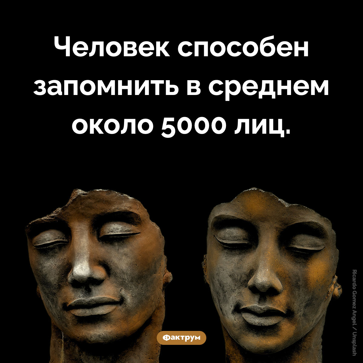 Сколько лиц способен запомнить человек. Человек способен запомнить в среднем около 5000 лиц.