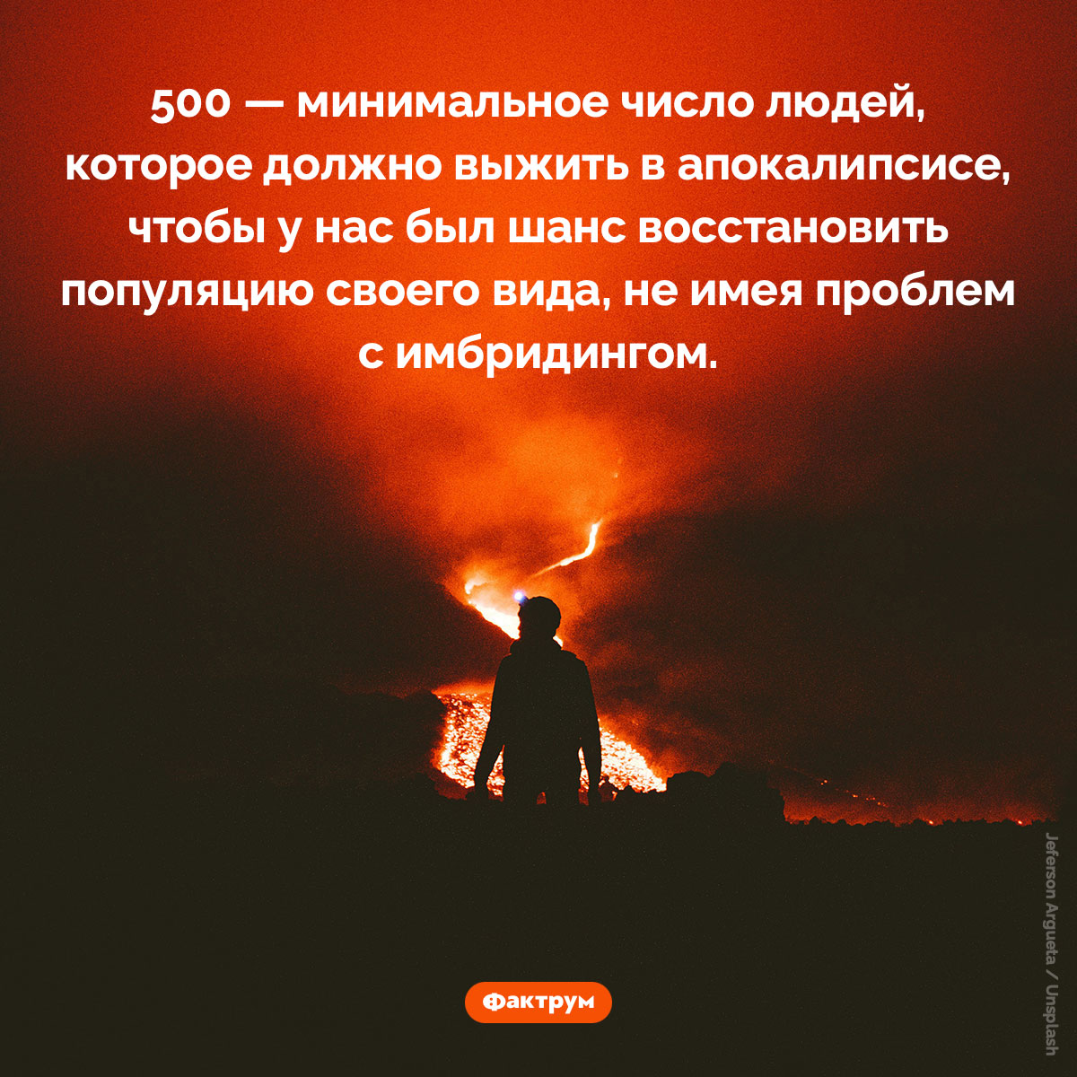 Сколько нужно людей, чтобы вновь заселить ими планету после апокалипсиса