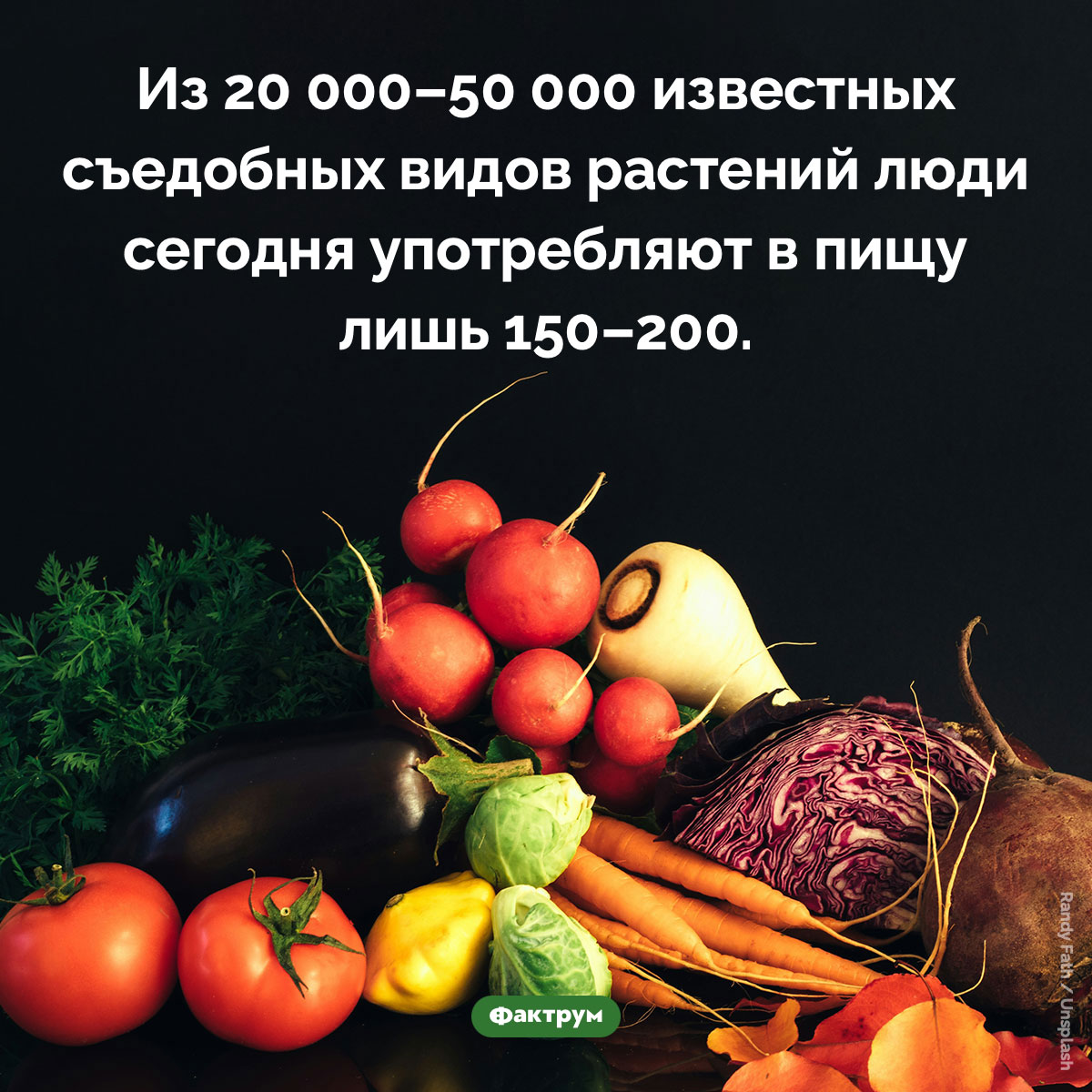 Сколько в мире съедобных растений. Из 20 000–50 000 известных съедобных видов растений люди сегодня употребляют в пищу лишь 150–200.