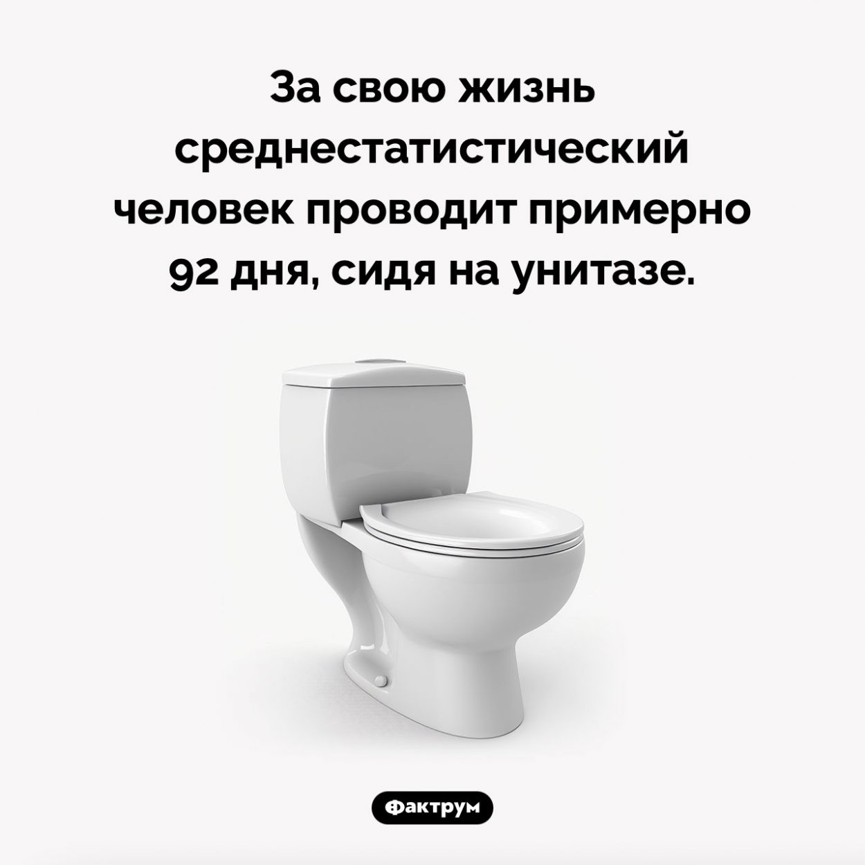 Сколько времени человек проводит сидя на унитазе. За свою жизнь среднестатистический человек проводит примерно 92 дня, сидя на унитазе.