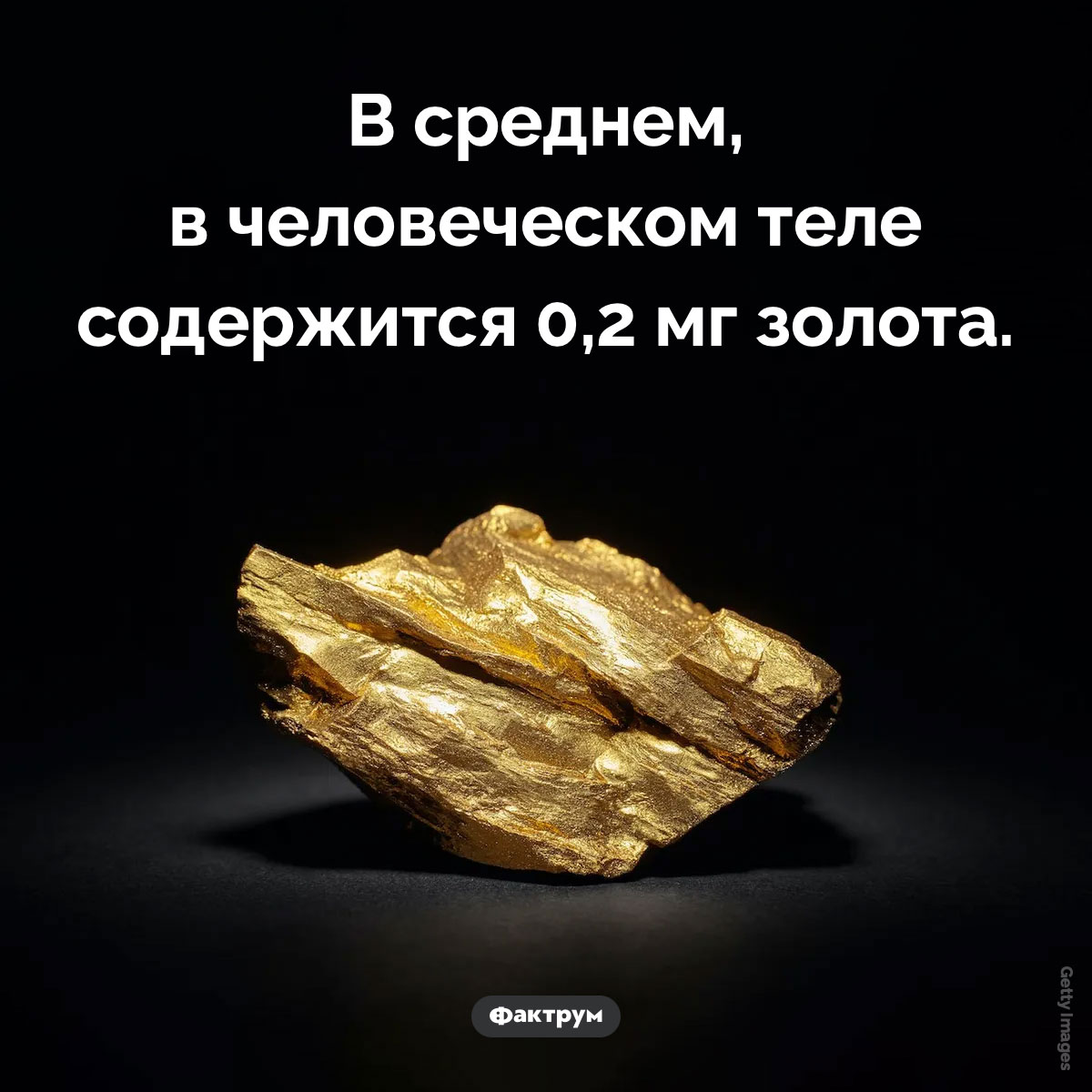 Сколько золота в человеческом теле. В среднем, в человеческом теле содержится 0,2 мг золота.