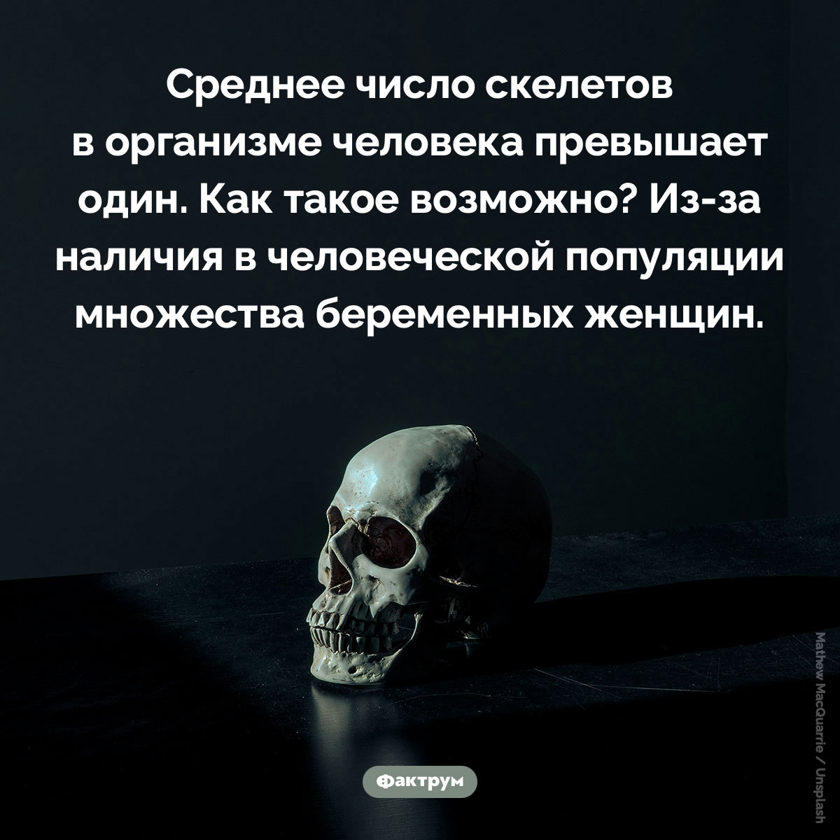 Среднее число скелетов в организме человека. Среднее число скелетов в организме человека превышает один. Как такое возможно? Из-за наличия в человеческой популяции множества беременных женщин.