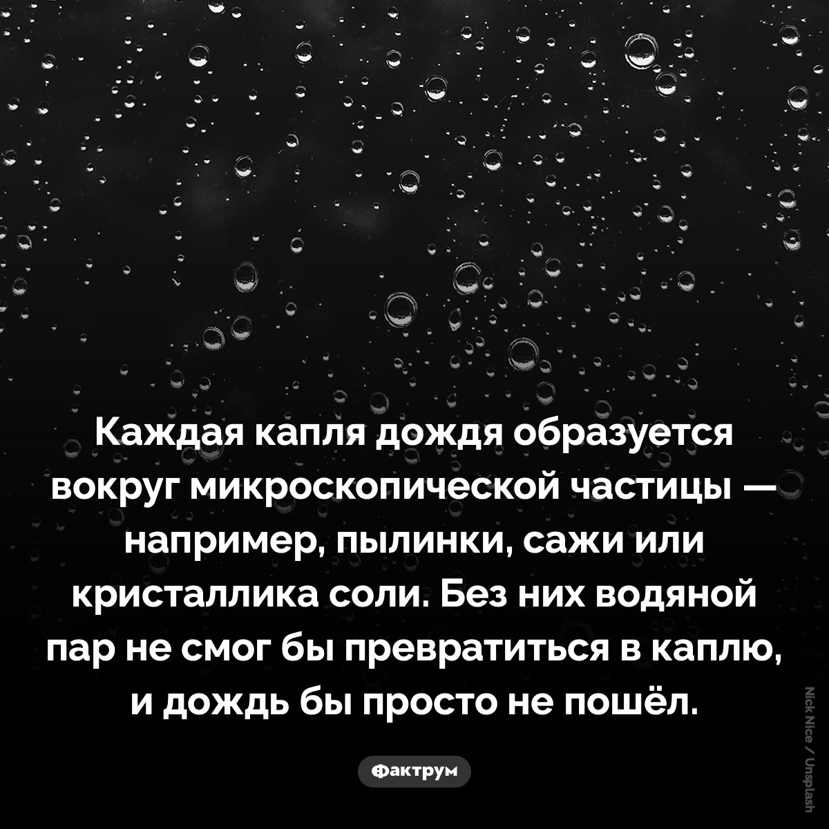 В каждой капле дождя есть пылинка. Каждая капля дождя образуется вокруг микроскопической частицы — например, пылинки, сажи или кристаллика соли. Без них водяной пар не смог бы превратиться в каплю, и дождь бы просто не пошёл.