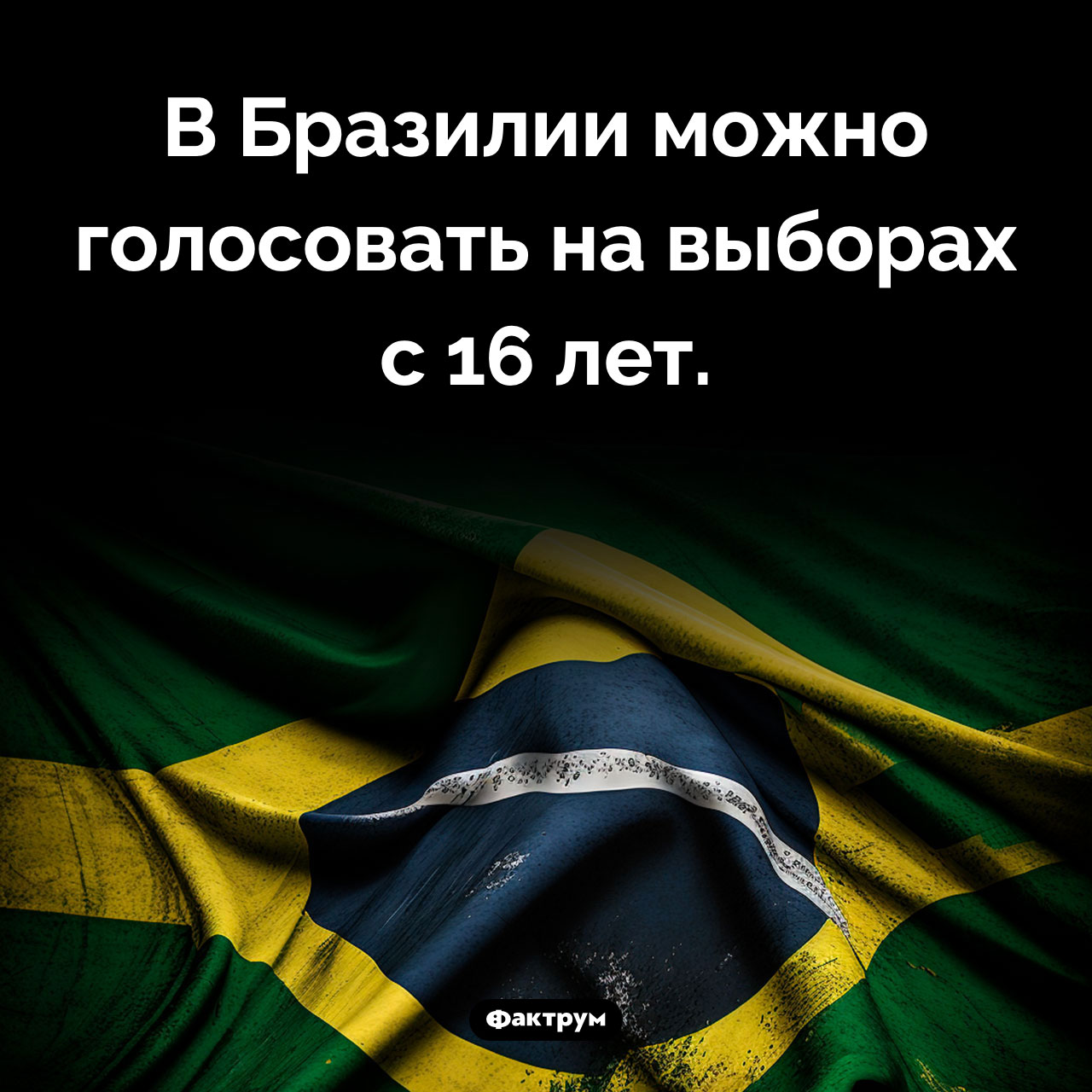 Выборы в Бразилии