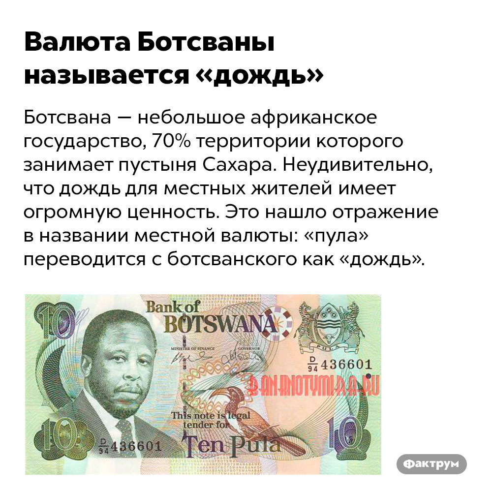 Валюта Ботсваны называется «дождь». Ботсвана — небольшое африканское государство, 70% территории которого занимает пустыня Сахара. Неудивительно, что дождь для местных жителей имеет огромную ценность. Это нашло отражение в названии местной валюты: «пула» переводится с ботсванского как «дождь».