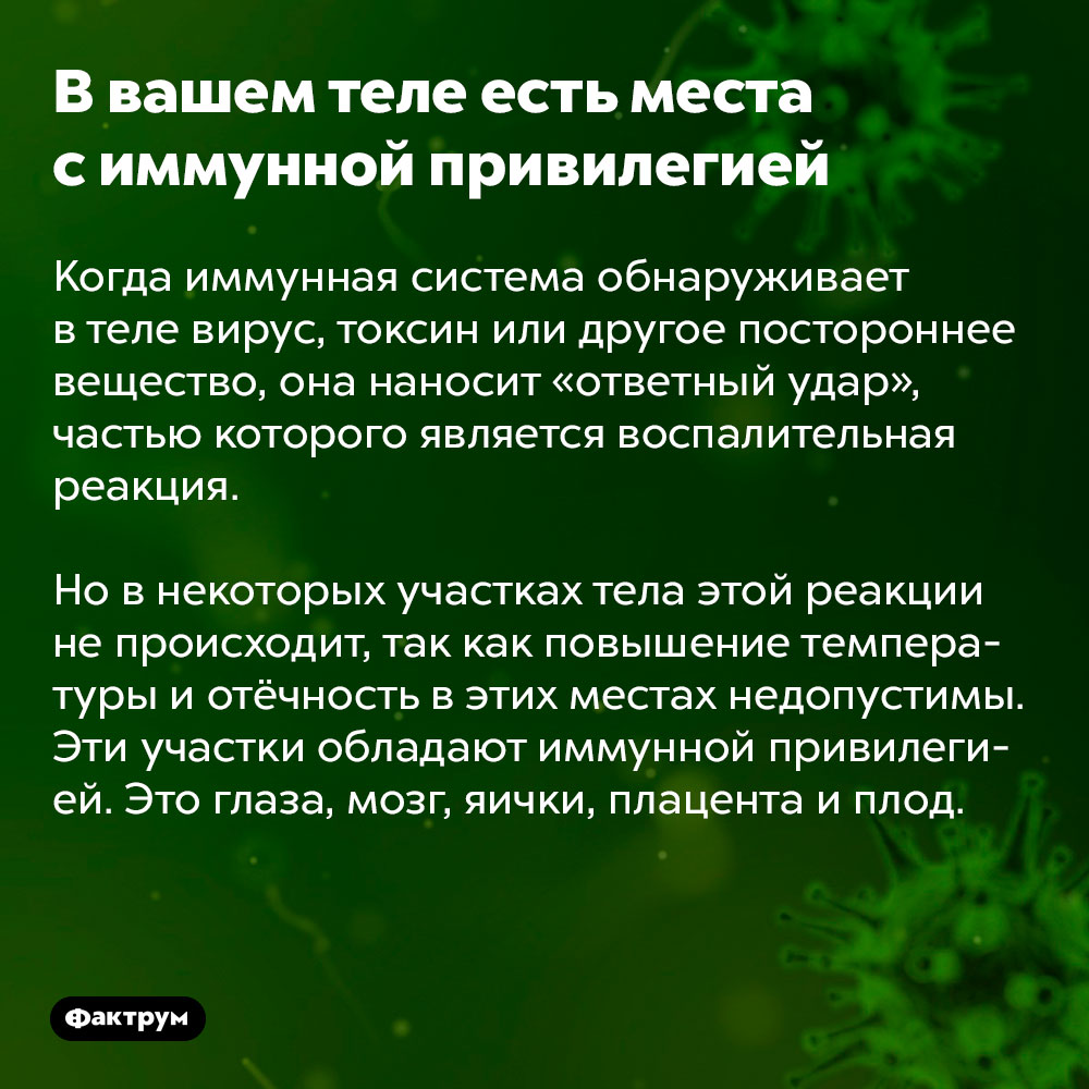 В вашем теле есть места с иммунной привилегией. Когда иммунная система обнаруживает в теле вирус, токсин или другое постороннее вещество, она наносит «ответный удар», частью которого является воспалительная реакция.

Но в некоторых участках тела этой реакции не происходит, так как повышение температуры и отёчность в этих местах недопустимы. Эти участки обладают иммунной привилегией. Это глаза, мозг, яички, плацента и плод.