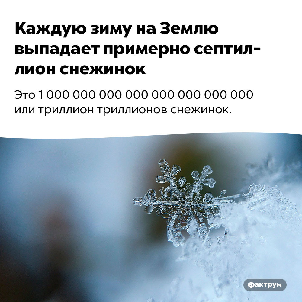 Каждую зиму на Землю выпадает примерно септиллион снежинок. Это 1 000 000 000 000 000 000 000 000 или триллион триллионов снежинок.