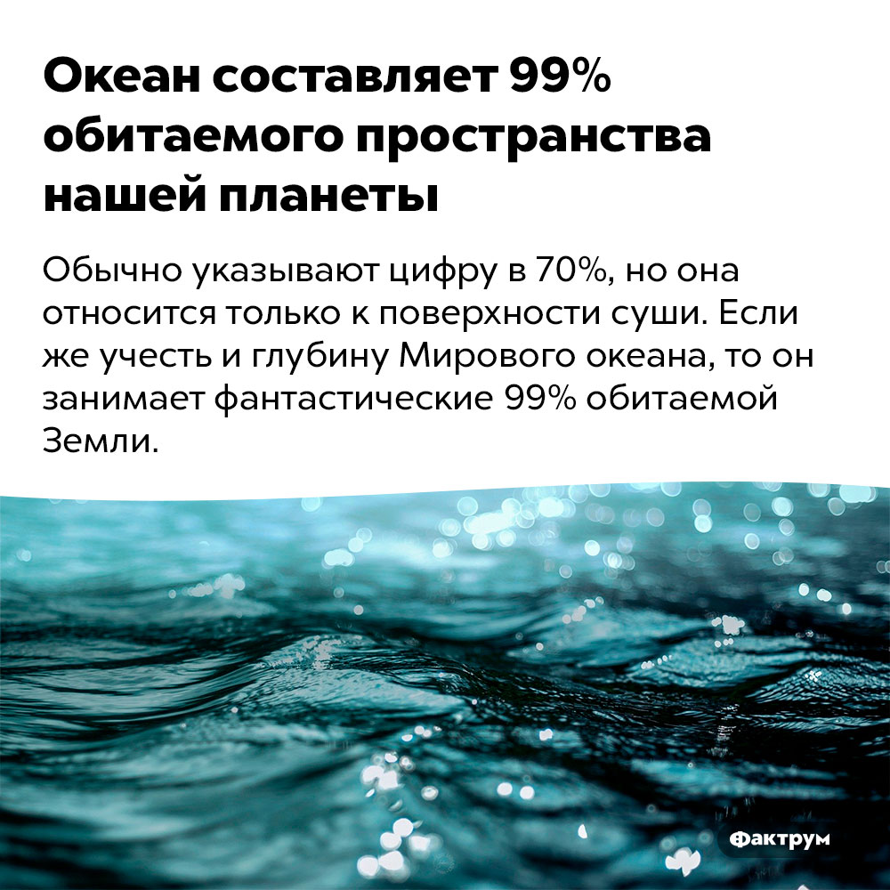 Океан составляет 99% обитаемого пространства нашей планеты. Обычно указывают цифру в 70%, но она относится только к поверхности суши. Если же учесть и глубину Мирового океана, то он занимает фантастические 99% обитаемой Земли.