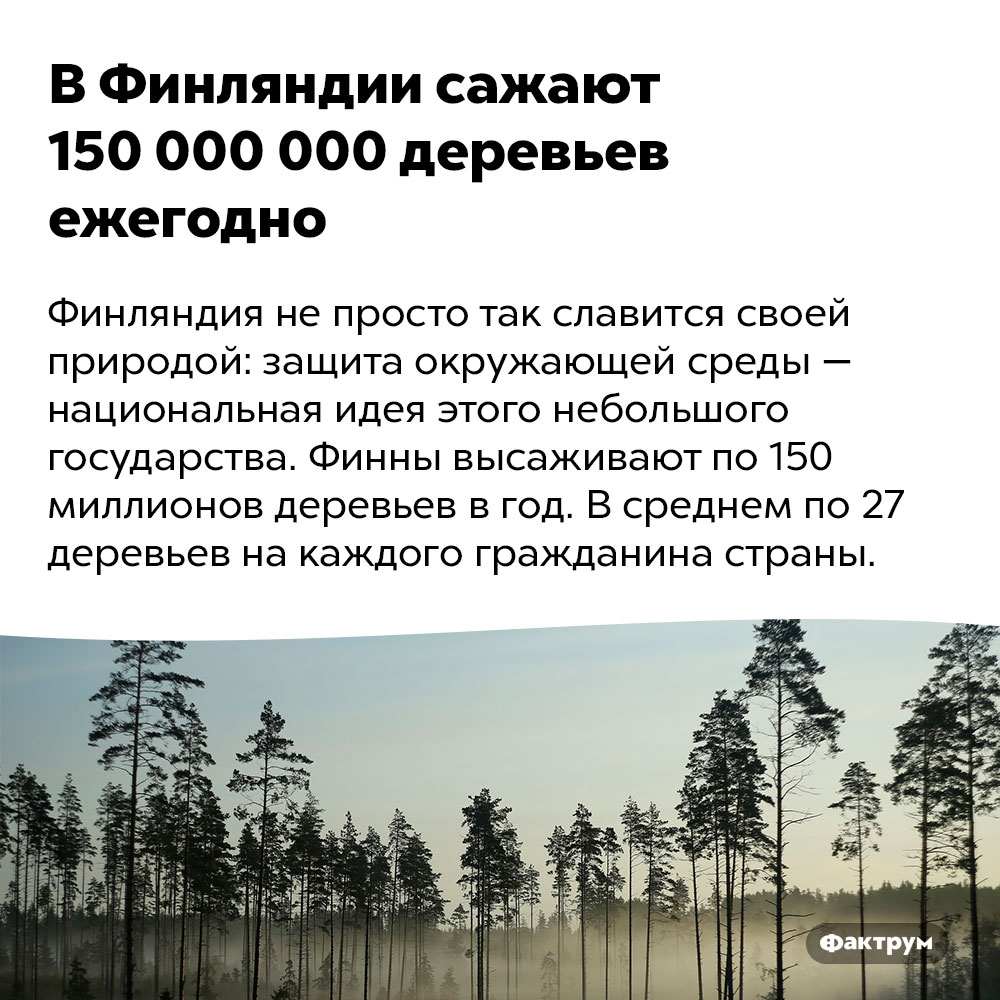 В Финляндии сажают 150 000 000 деревьев ежегодно. Финляндия не просто так славится своей природой: защита окружающей среды — национальная идея этого небольшого государства. Финны высаживают по 150 миллионов деревьев в год. В среднем по 27 деревьев на каждого гражданина страны.