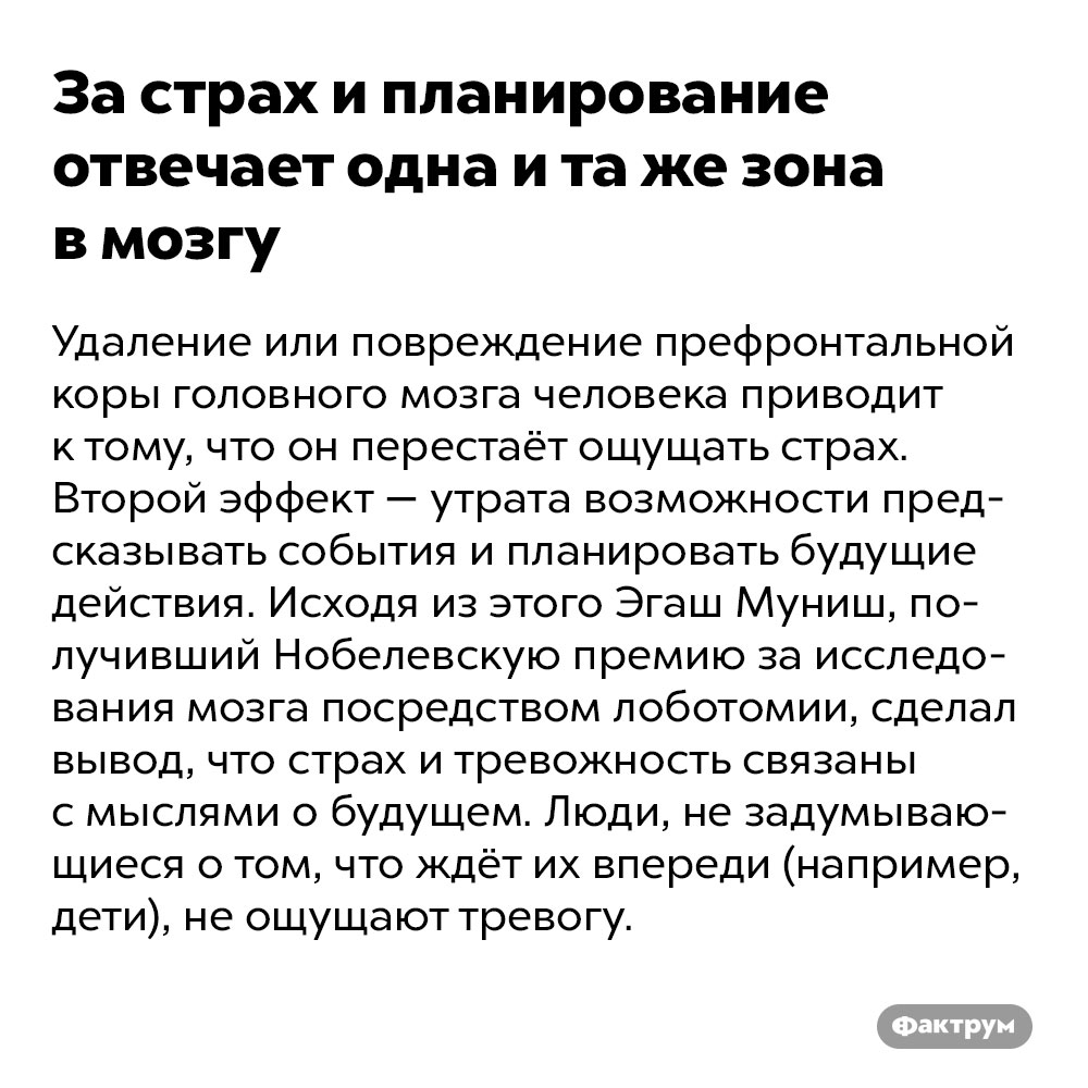 За страх и планирование отвечает одна и та же зона в мозгу. Удаление или повреждение префронтальной коры головного мозга человека приводит к тому, что он перестаёт ощущать страх. Второй эффект — утрата возможности предсказывать события и планировать будущие действия. Исходя из этого Эгаш Муниш, получивший Нобелевскую премию за исследования мозга посредством лоботомии, сделал вывод, что страх и тревожность связаны с мыслями о будущем. Люди, не задумывающиеся о том, что ждёт их впереди (например, дети), не ощущают тревогу.