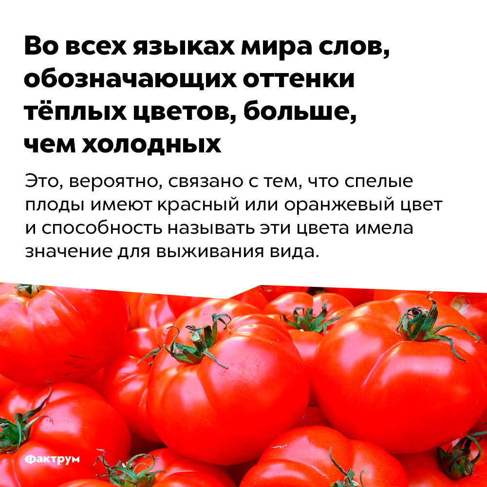 Во всех языках мира слов, обозначающих оттенки тёплых цветов, больше, чем холодных. Это, вероятно, связано с тем, что спелые плоды имеют красный или оранжевый цвет и способность называть эти цвета имела значение для выживания вида.