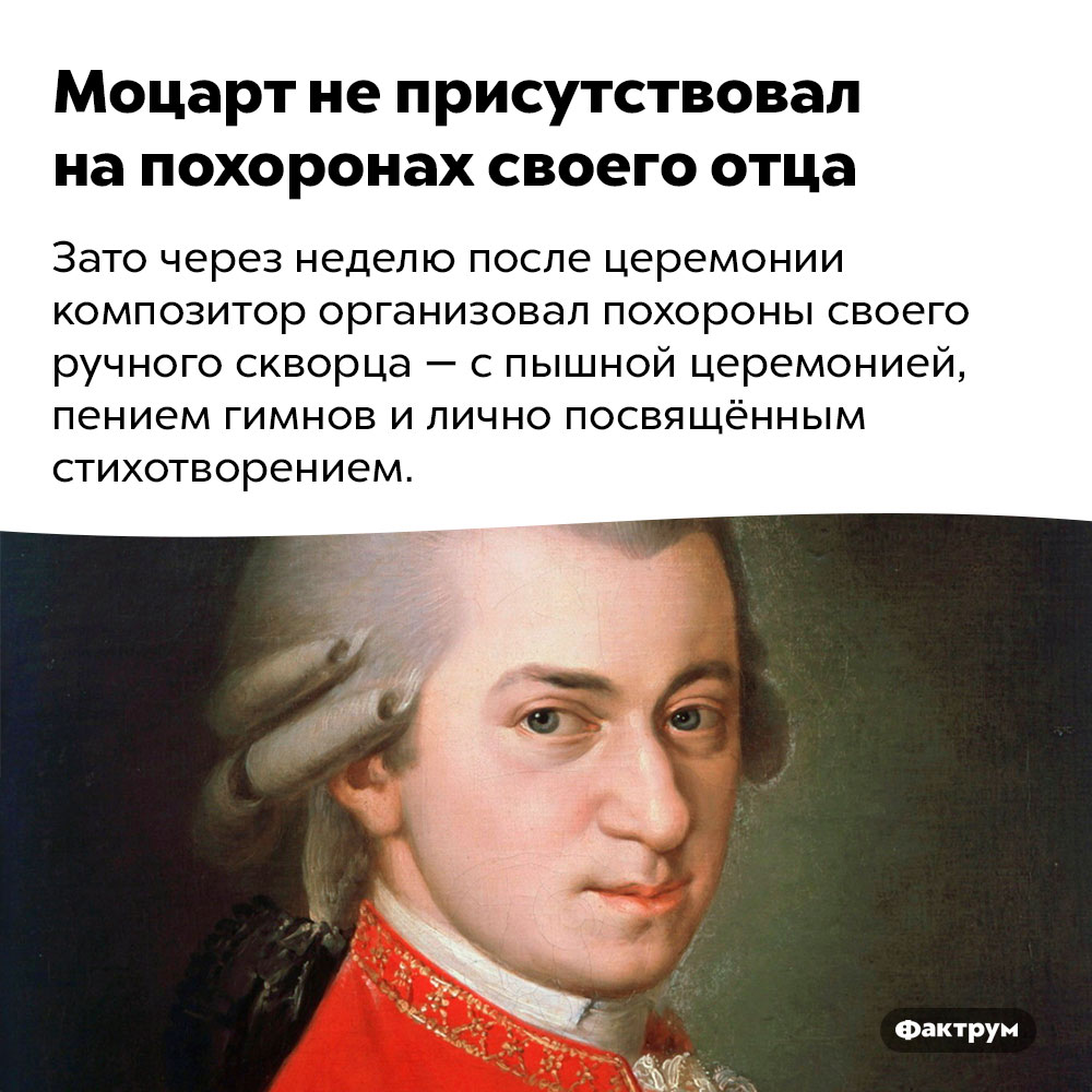 Моцарт не присутствовал на похоронах своего отца. Зато через неделю после церемонии композитор организовал похороны своего ручного скворца — с пышной церемонией, пением гимнов и лично посвящённым стихотворением.