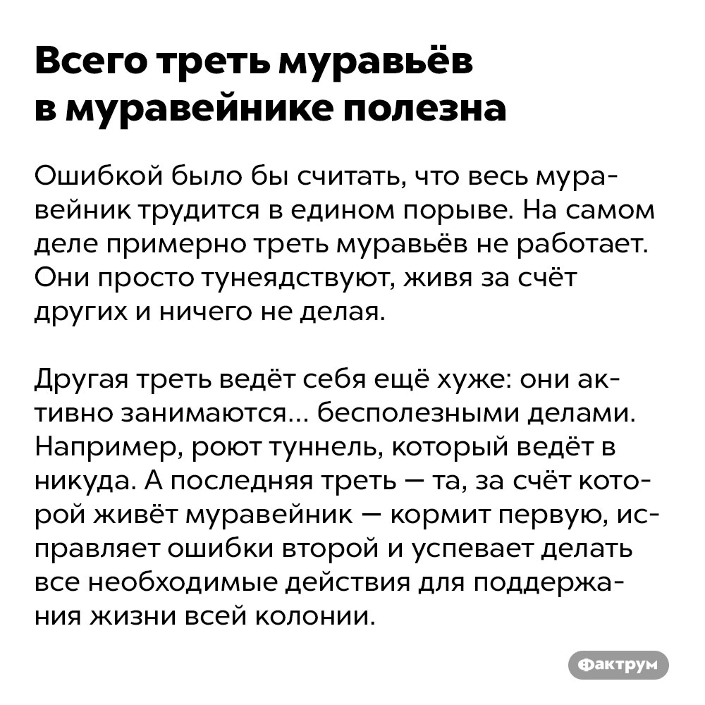 Всего треть муравьёв в муравейнике полезна. Ошибкой было бы считать, что весь муравейник трудится в едином порыве. На самом деле примерно треть муравьёв не работает. Они просто тунеядствуют, живя за счёт других и ничего не делая. 
Другая треть ведёт себя ещё хуже: они активно занимаются… бесполезными делами. Например, роют туннель, который ведёт в никуда. А последняя треть — та, за счёт которой живёт муравейник — кормит первую, исправляет ошибки второй и успевает делать все необходимые действия для поддержания жизни всей колонии.