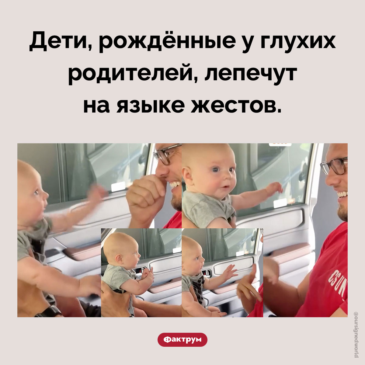 Лепет на языке жестов. Дети, рождённые у глухих родителей, лепечут на языке жестов.