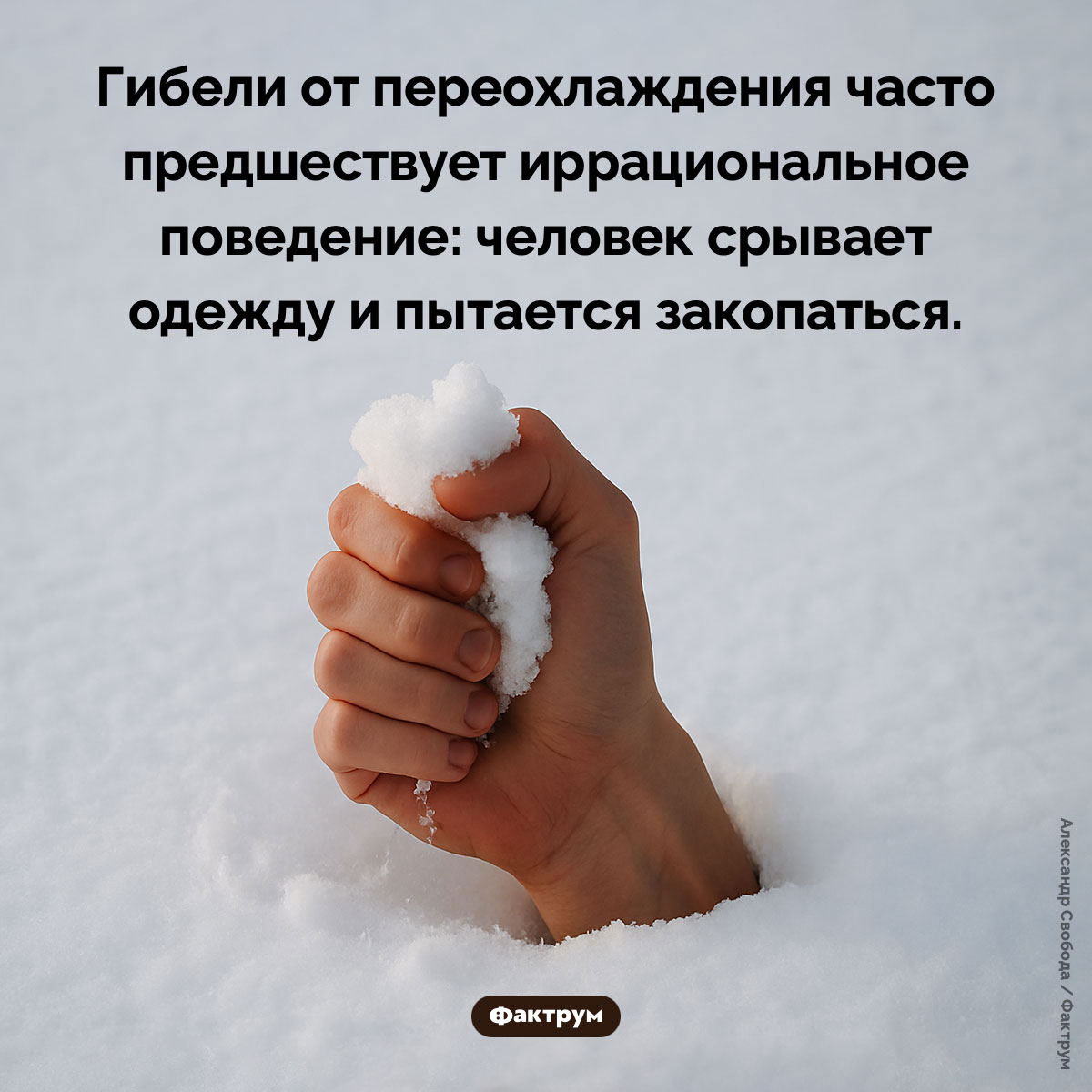 Предсмертное копание