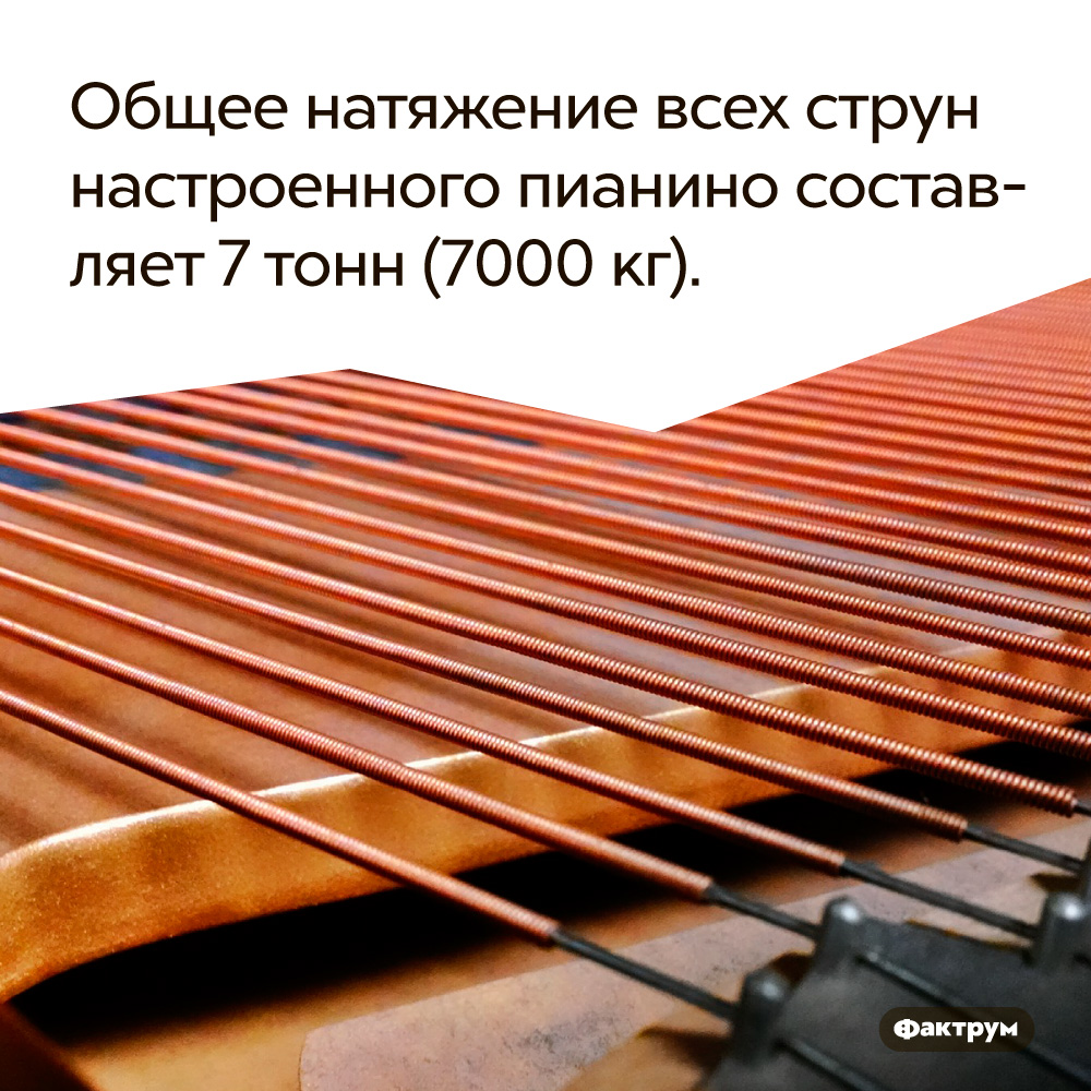 Общее натяжение всех струн настроенного пианино составляет 7 тонн (7000 кг). Струны прячутся внутри инструмента.