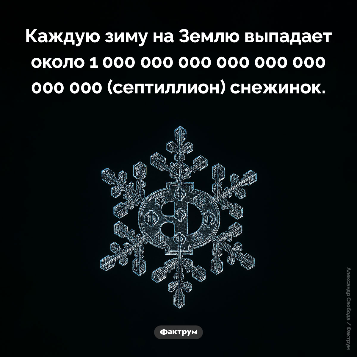 Септиллион снежинок. Каждую зиму на Землю выпадает около 1 000 000 000 000 000 000 000 000 (септиллион) снежинок.
