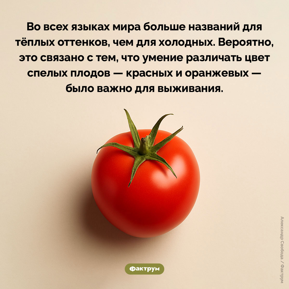 Теплые и холодные цвета. Во всех языках мира больше названий для тёплых оттенков, чем для холодных. Вероятно, это связано с тем, что умение различать цвет спелых плодов — красных и оранжевых — было важно для выживания.