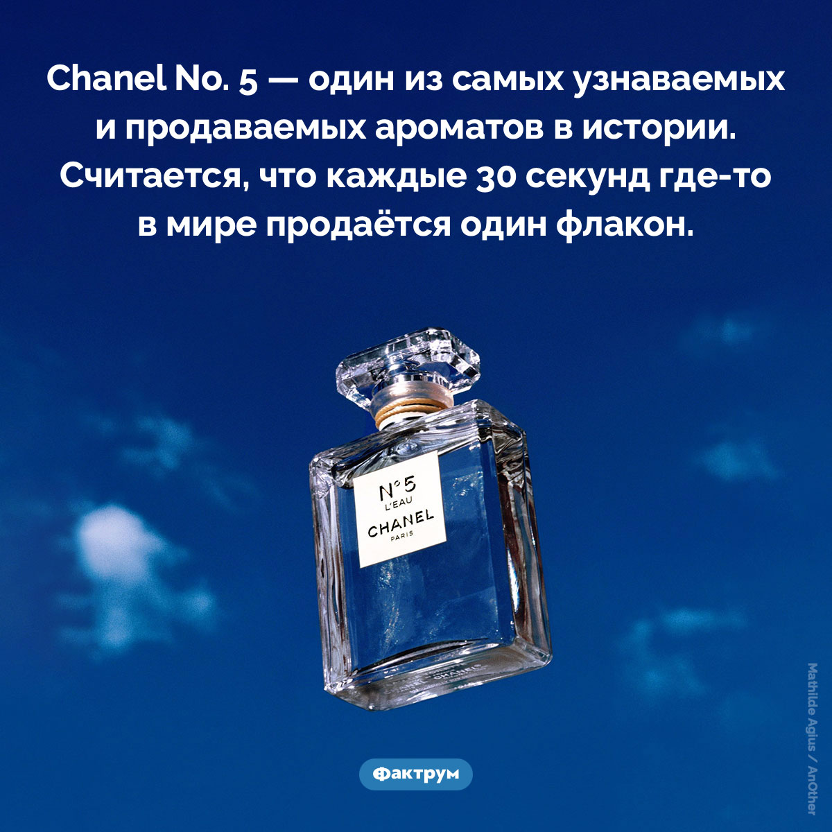 Успех Chanel № 5