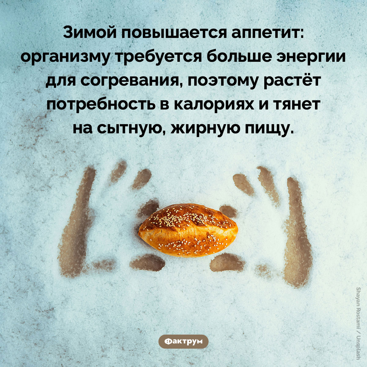 Зимой повышается аппетит. Зимой повышается аппетит: организму требуется больше энергии для согревания, поэтому растёт потребность в калориях и тянет на сытную, жирную пищу.