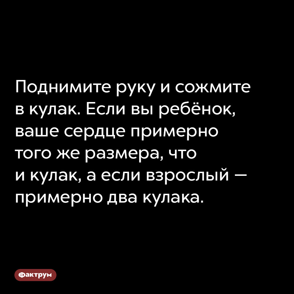 Поднимите руку и сожмите в кулак. Если вы ребёнок, ваше сердце примерно того же размера, что и кулак. ...а если взрослый — примерно два кулака.