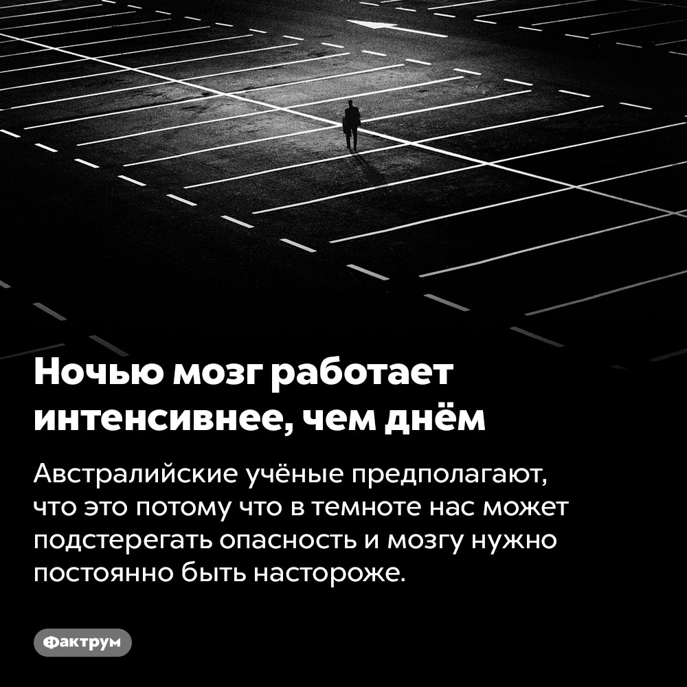 Ночью мозг работает интенсивнее, чем днём. Австралийские учёные предполагают, что это потому что в темноте нас может подстерегать опасность и мозгу нужно постоянно быть настороже.
