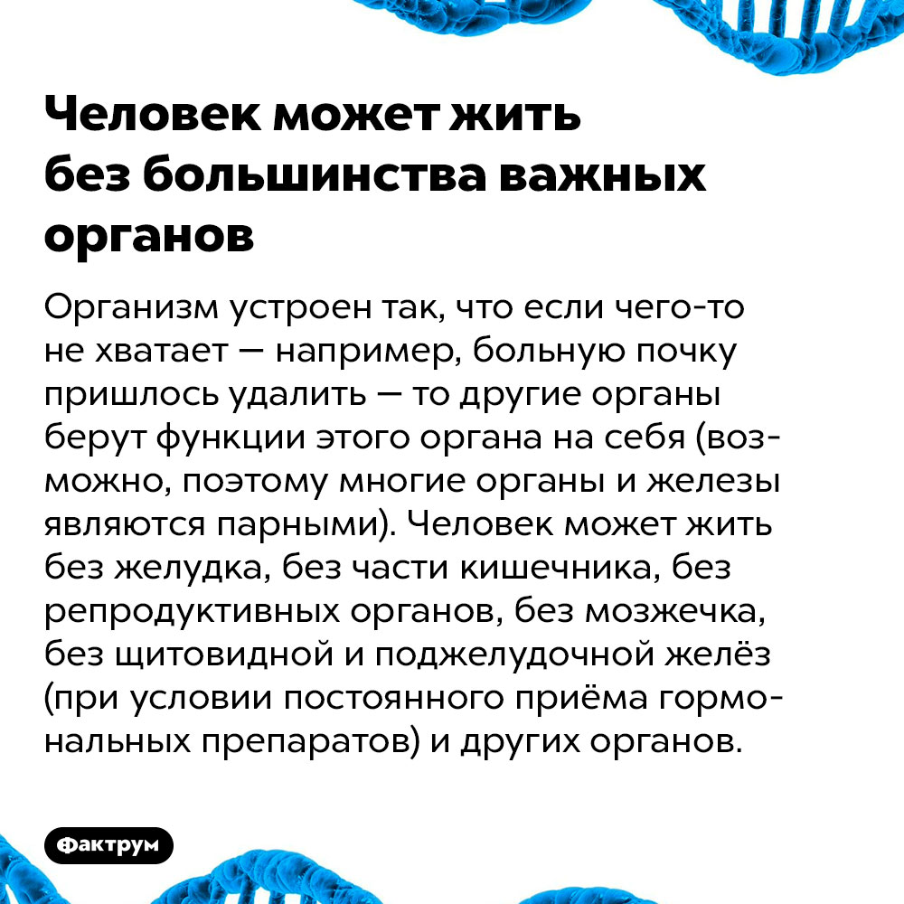 Человек может жить без большинства важных органов. Организм устроен так, что если чего-то не хватает — например, больную почку пришлось удалить — то другие органы берут функции этого органа на себя (возможно, поэтому многие органы и железы являются парными). Человек может жить без желудка, без части кишечника, без репродуктивных органов, без мозжечка, без щитовидной и поджелудочной желёз (при условии постоянного приёма гормональных препаратов) и других органов.