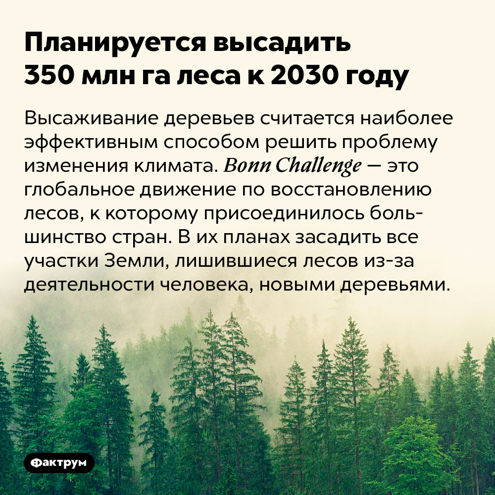 Планируется высадить 350 млн га леса к 2030 году. Высаживание деревьев считается наиболее эффективным способом решить проблему изменения климата. Bonn Challenge — это глобальное движение по восстановлению лесов, к которому присоединилось большинство стран. В их планах засадить все участки Земли, лишившиеся лесов из-за деятельности человека, новыми деревьями.
