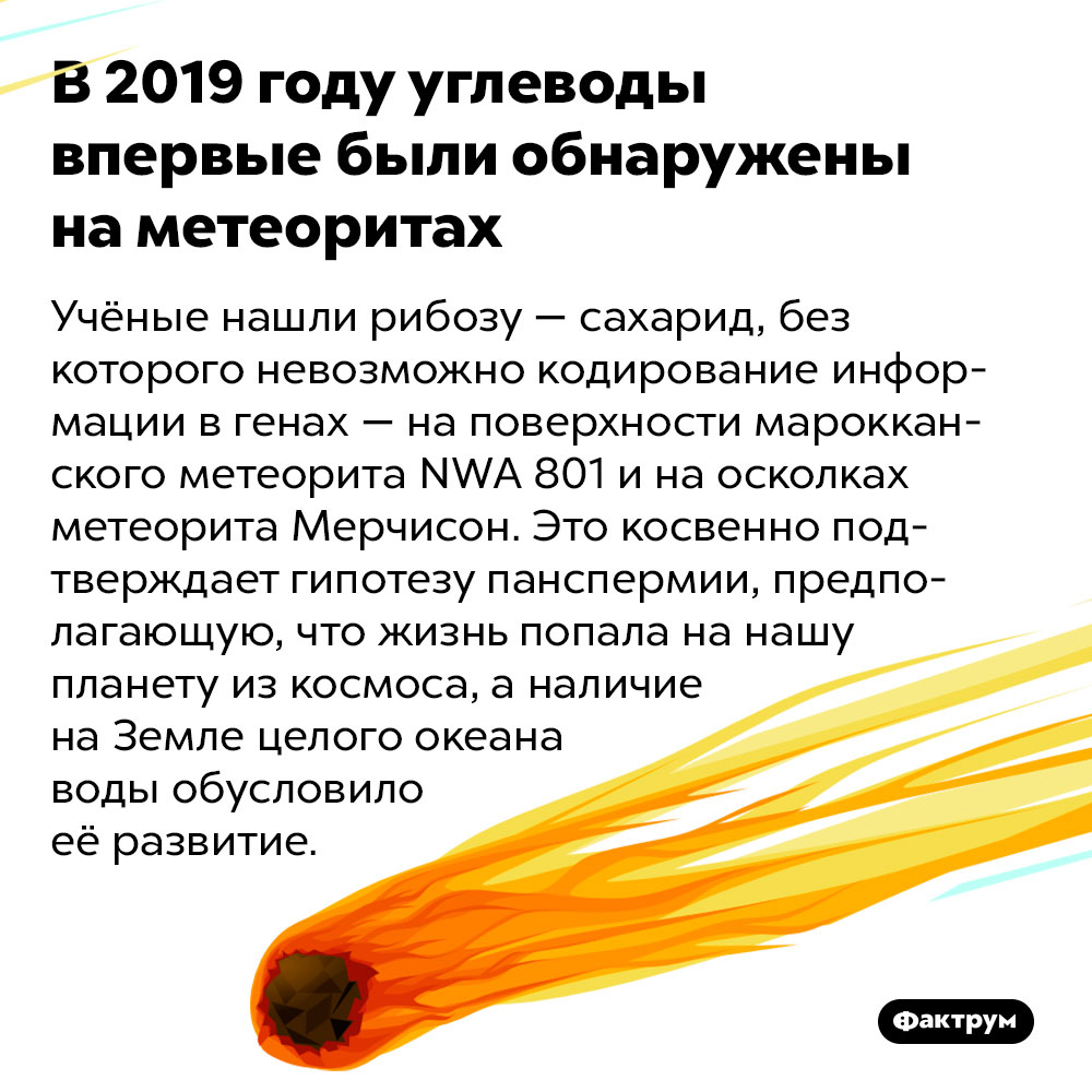 В 2019 году углеводы впервые были обнаружены на метеоритах. Учёные нашли рибозу — сахарид, без которого невозможно кодирование информации в генах — на поверхности марокканского метеорита NWA 801 и на осколках метеорита Мерчисон. Это косвенно подтверждает гипотезу панспермии, предполагающую, что жизнь попала на нашу планету из космоса, а наличие на Земле целого океана воды обусловило её развитие.