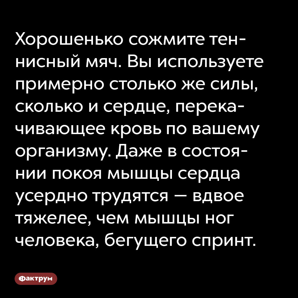 Хорошенько сожмите теннисный мяч. Вы используете примерно столько же силы, сколько и сердце, перекачивающее кровь по вашему организму. Даже в состоянии покоя мышцы сердца усердно трудятся — вдвое тяжелее, чем мышцы ног человека, бегущего спринт.
