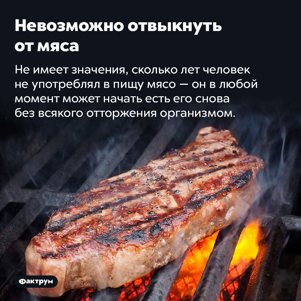 Невозможно отвыкнуть от мяса. Не имеет значения, сколько лет человек не употреблял в пищу мясо — он в любой момент может начать есть его снова без всякого отторжения организмом.